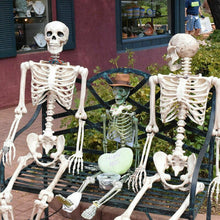 Load image into Gallery viewer, Poseable Full Life Size Menselijk Skelet Halloween Decoratie Party Prop Nieuwe 40cm