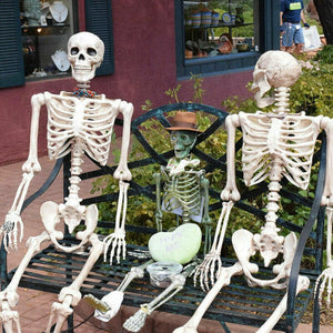 Poseable Full Life Size Menselijk Skelet Halloween Decoratie Party Prop Nieuwe 40cm