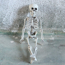 Load image into Gallery viewer, Poseable Full Life Size Menselijk Skelet Halloween Decoratie Party Prop Nieuwe 40cm