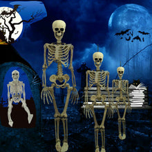 Load image into Gallery viewer, Poseable Full Life Size Menselijk Skelet Halloween Decoratie Party Prop Nieuwe 40cm